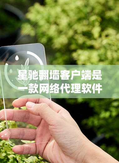 星驰翻墙客户端是一款网络代理软件，旨在帮助用户绕过网络限制，访问被屏蔽或限制访问的网站。以下是使用星驰翻墙客户端的基本步骤和注意事项