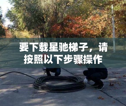 要下载星驰梯子，请按照以下步骤操作
