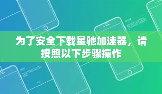 为了安全下载星驰加速器，请按照以下步骤操作