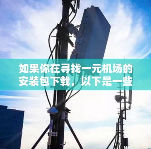如果你在寻找一元机场的安装包下载，以下是一些可能的步骤和建议，帮助你找到所需的安装包