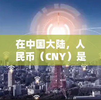在中国大陆，人民币（CNY）是法定货币，各大机场通常会接受人民币作为支付方式。对于是否可以在机场内使用人民币支付，通常没有问题。以下是一些详细的信息