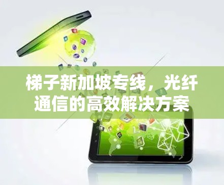 梯子新加坡专线，光纤通信的高效解决方案