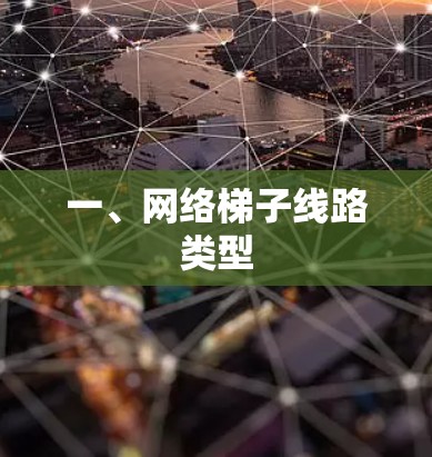 一、网络梯子线路类型