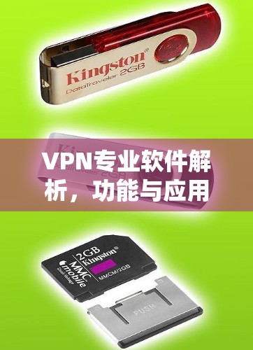 VPN专业软件解析，功能与应用探析